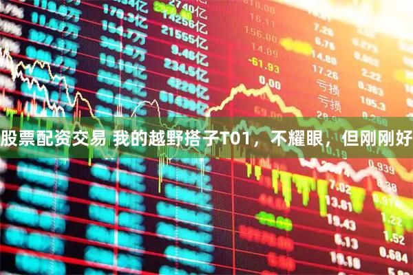 股票配资交易 我的越野搭子T01，不耀眼，但刚刚好